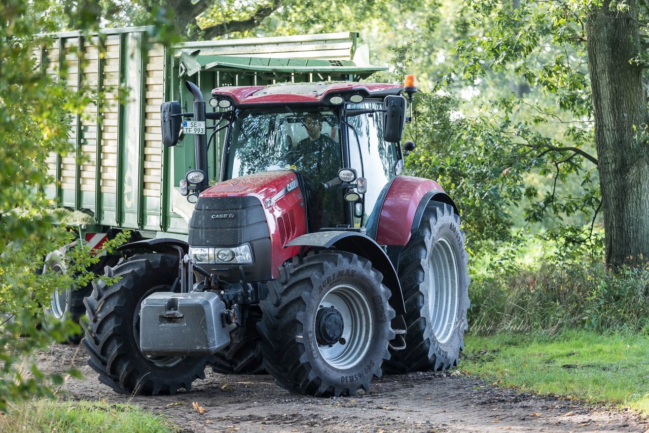 Bild 191 - Maisernte